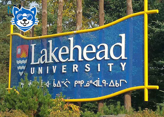 đại học lakehead